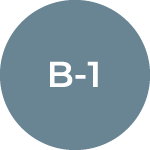 b-1